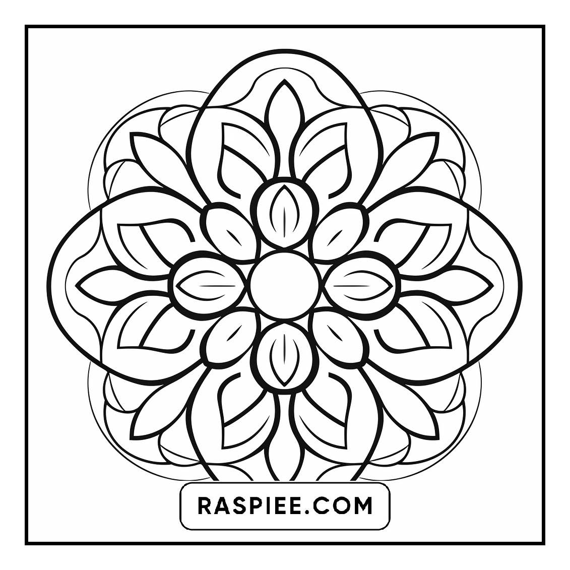 134 Bold and Easy Mandala Coloring Pages