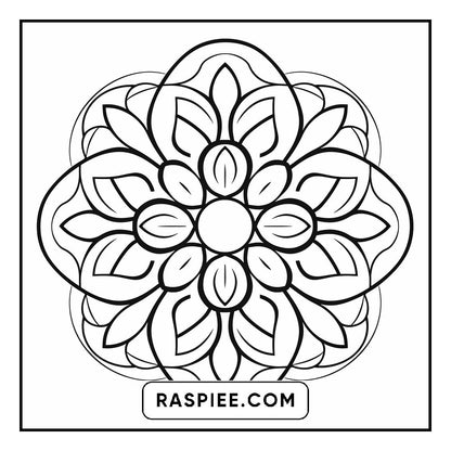 134 Bold and Easy Mandala Coloring Pages