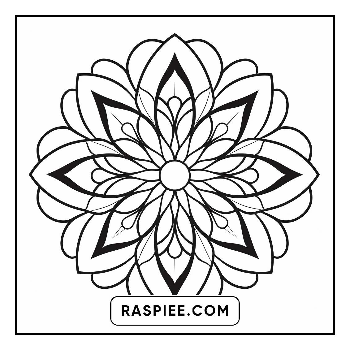 134 Bold and Easy Mandala Coloring Pages