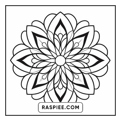 134 Bold and Easy Mandala Coloring Pages