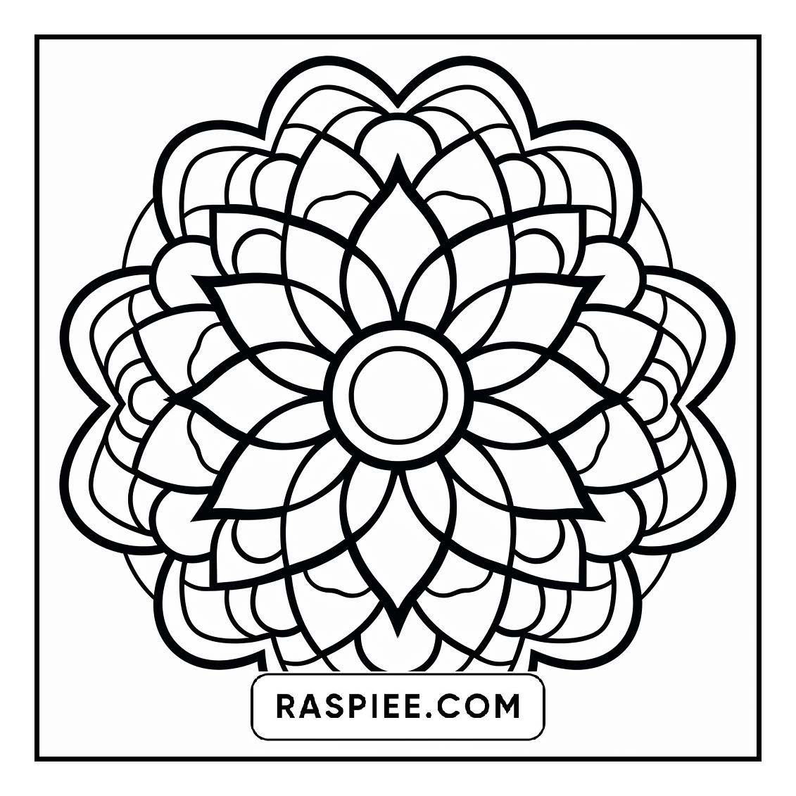 134 Bold and Easy Mandala Coloring Pages