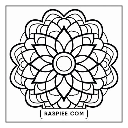 134 Bold and Easy Mandala Coloring Pages