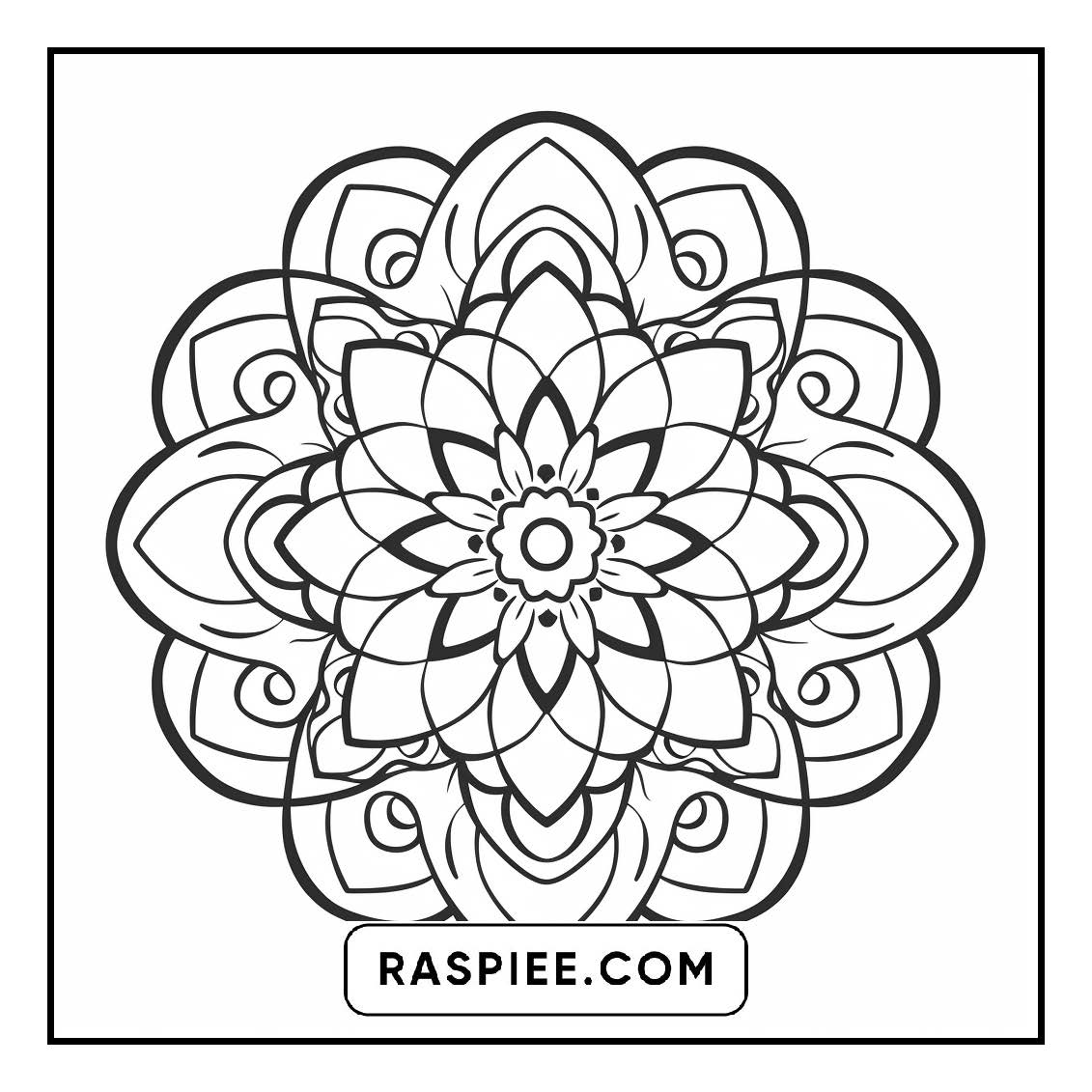 134 Bold and Easy Mandala Coloring Pages