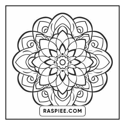 134 Bold and Easy Mandala Coloring Pages