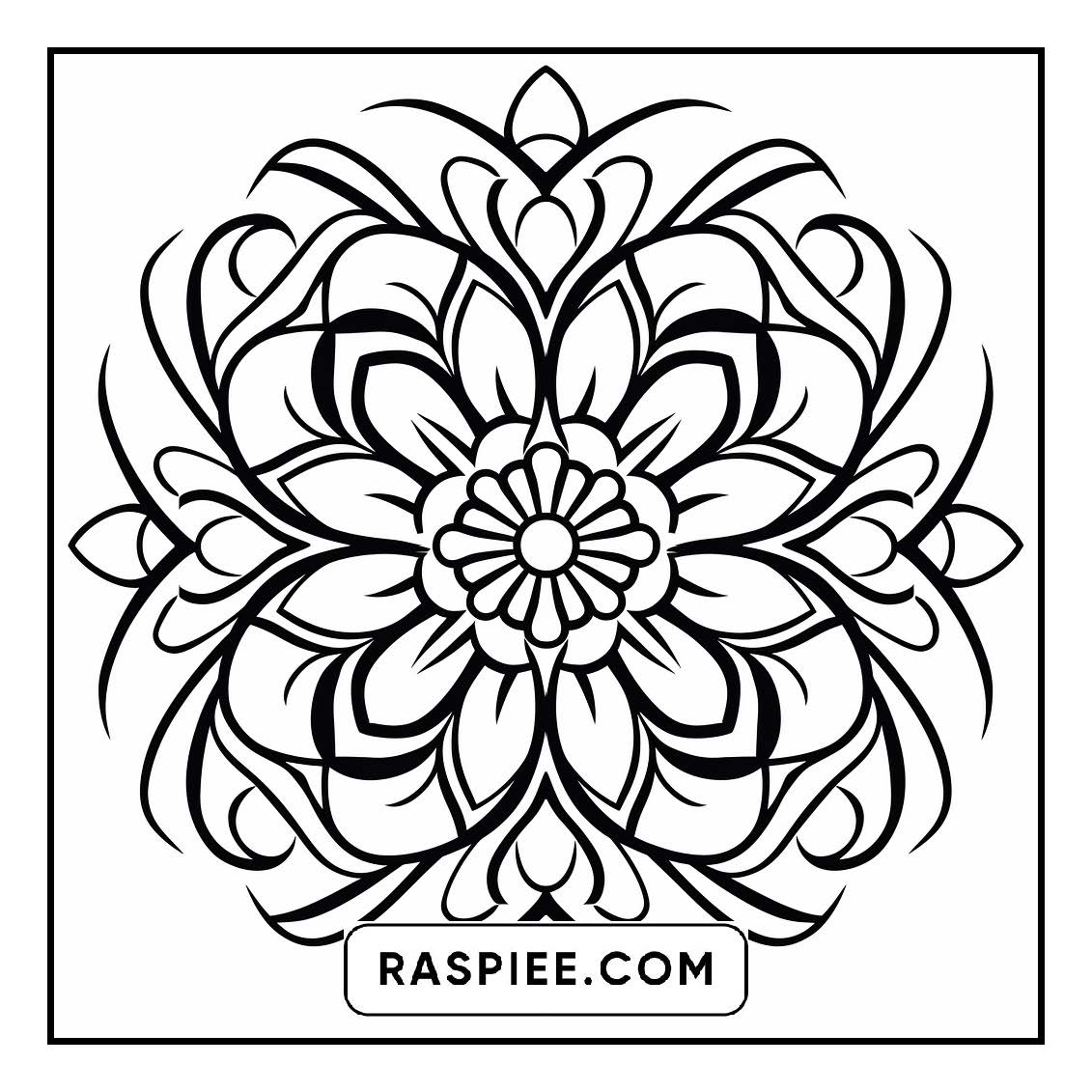 134 Bold and Easy Mandala Coloring Pages