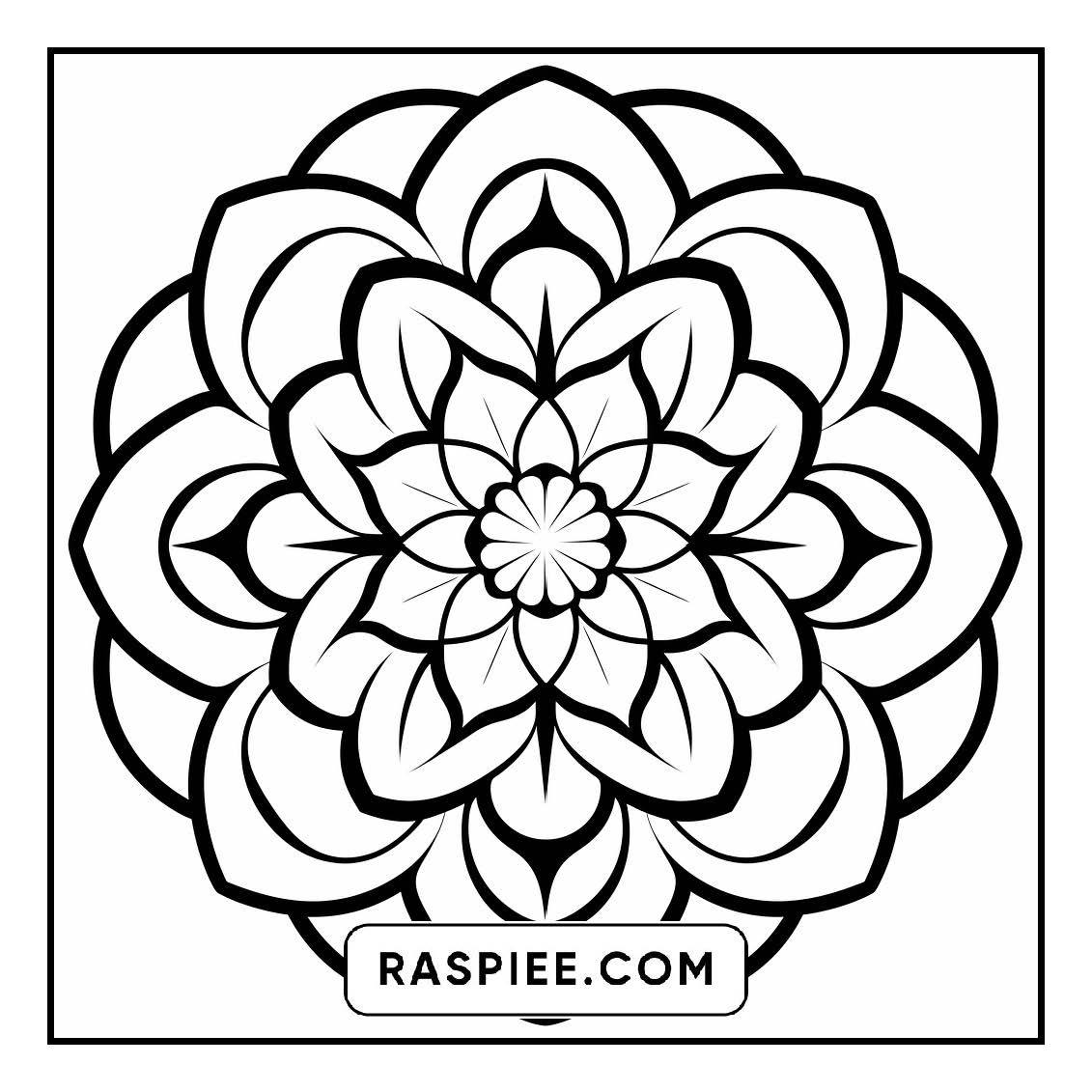 134 Bold and Easy Mandala Coloring Pages