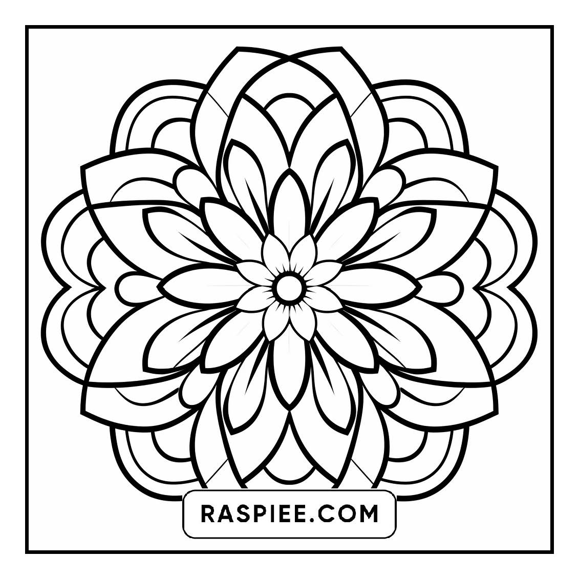 134 Bold and Easy Mandala Coloring Pages