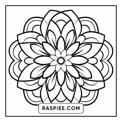 134 Bold and Easy Mandala Coloring Pages