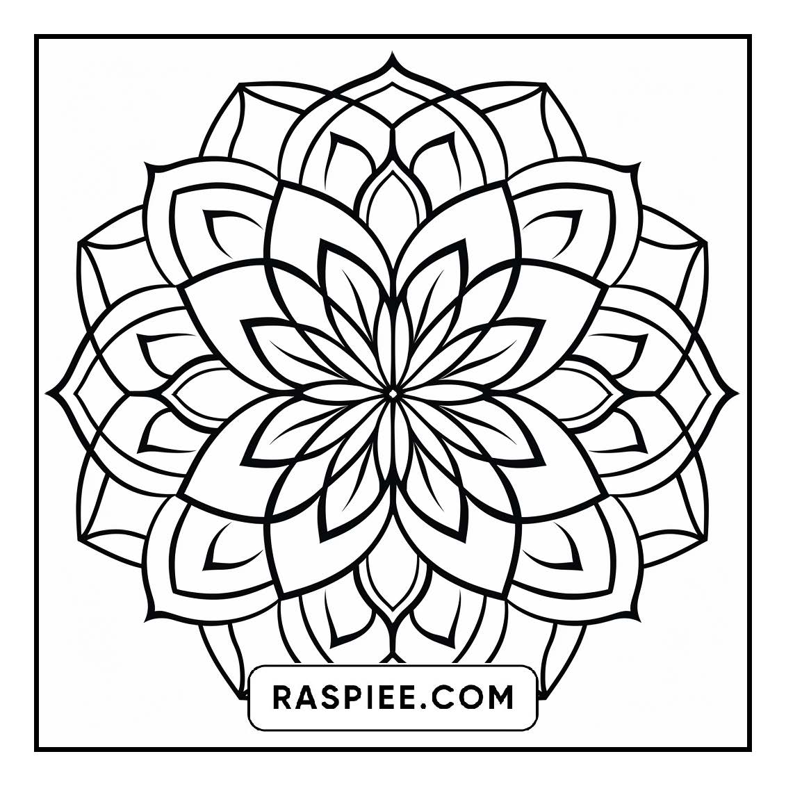134 Bold and Easy Mandala Coloring Pages