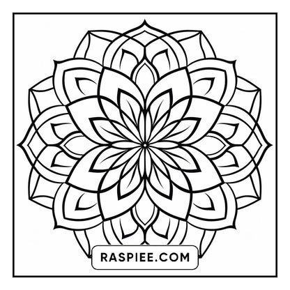 134 Bold and Easy Mandala Coloring Pages