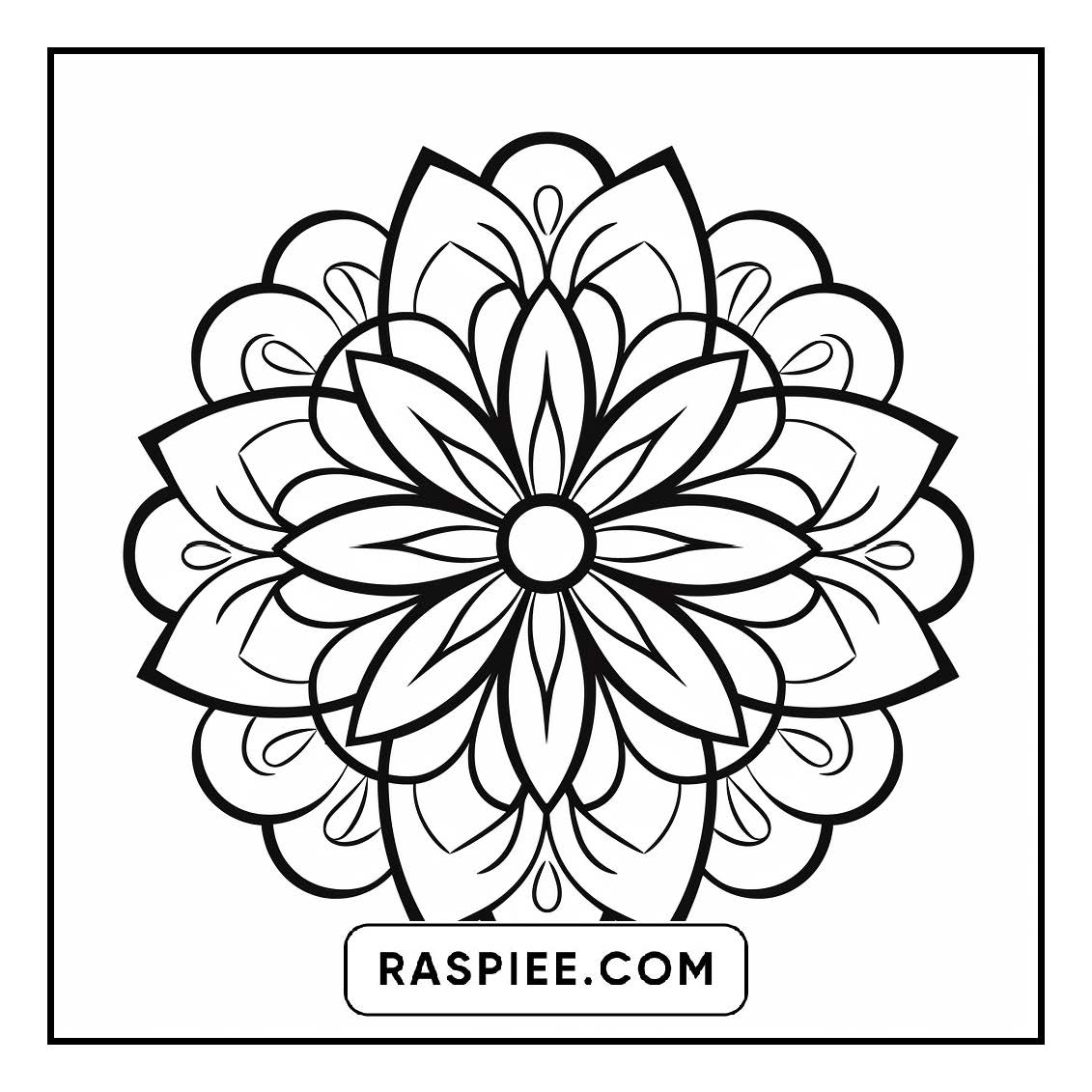 134 Bold and Easy Mandala Coloring Pages