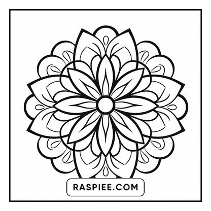 134 Bold and Easy Mandala Coloring Pages