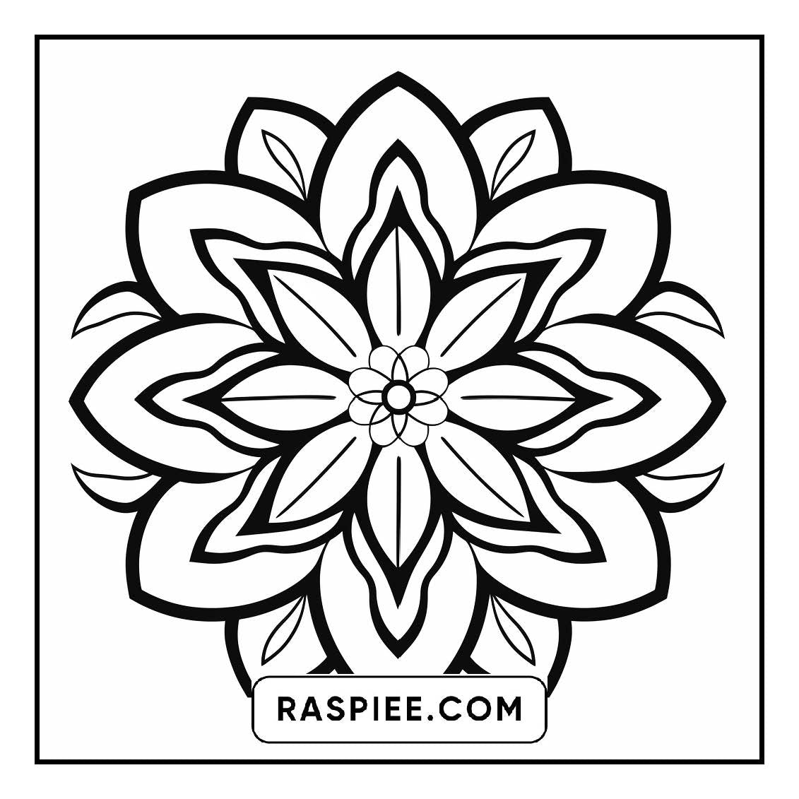 134 Bold and Easy Mandala Coloring Pages