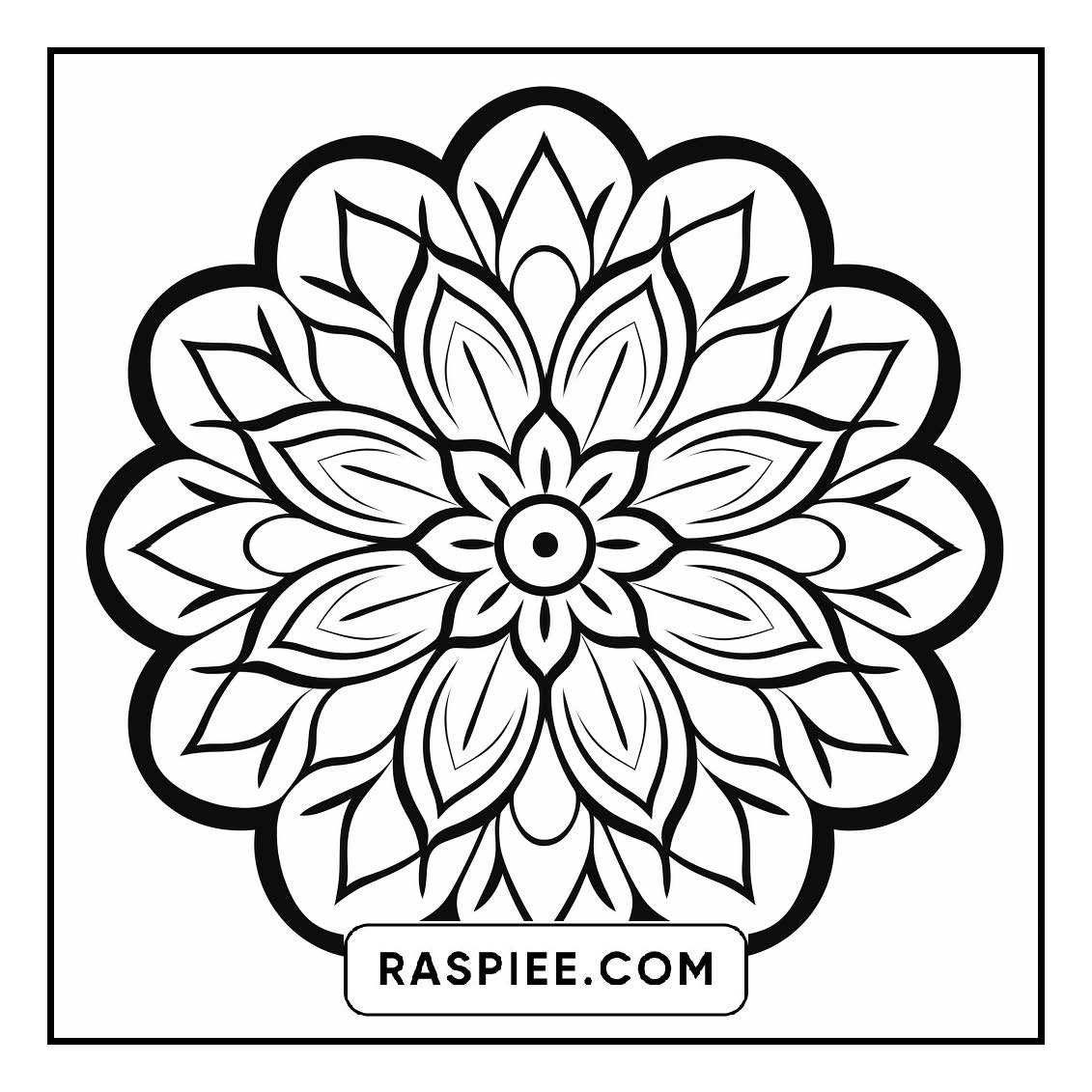 134 Bold and Easy Mandala Coloring Pages