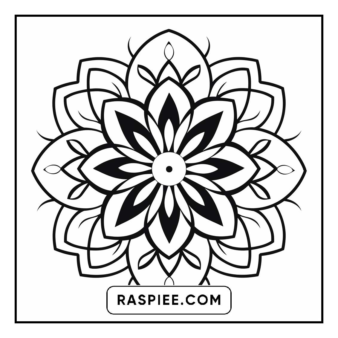 134 Bold and Easy Mandala Coloring Pages