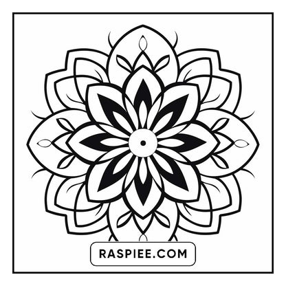 134 Bold and Easy Mandala Coloring Pages