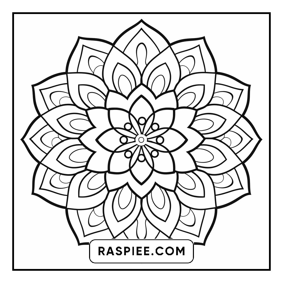 134 Bold and Easy Mandala Coloring Pages