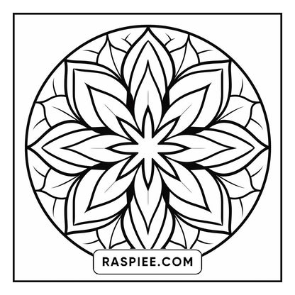 134 Bold and Easy Mandala Coloring Pages