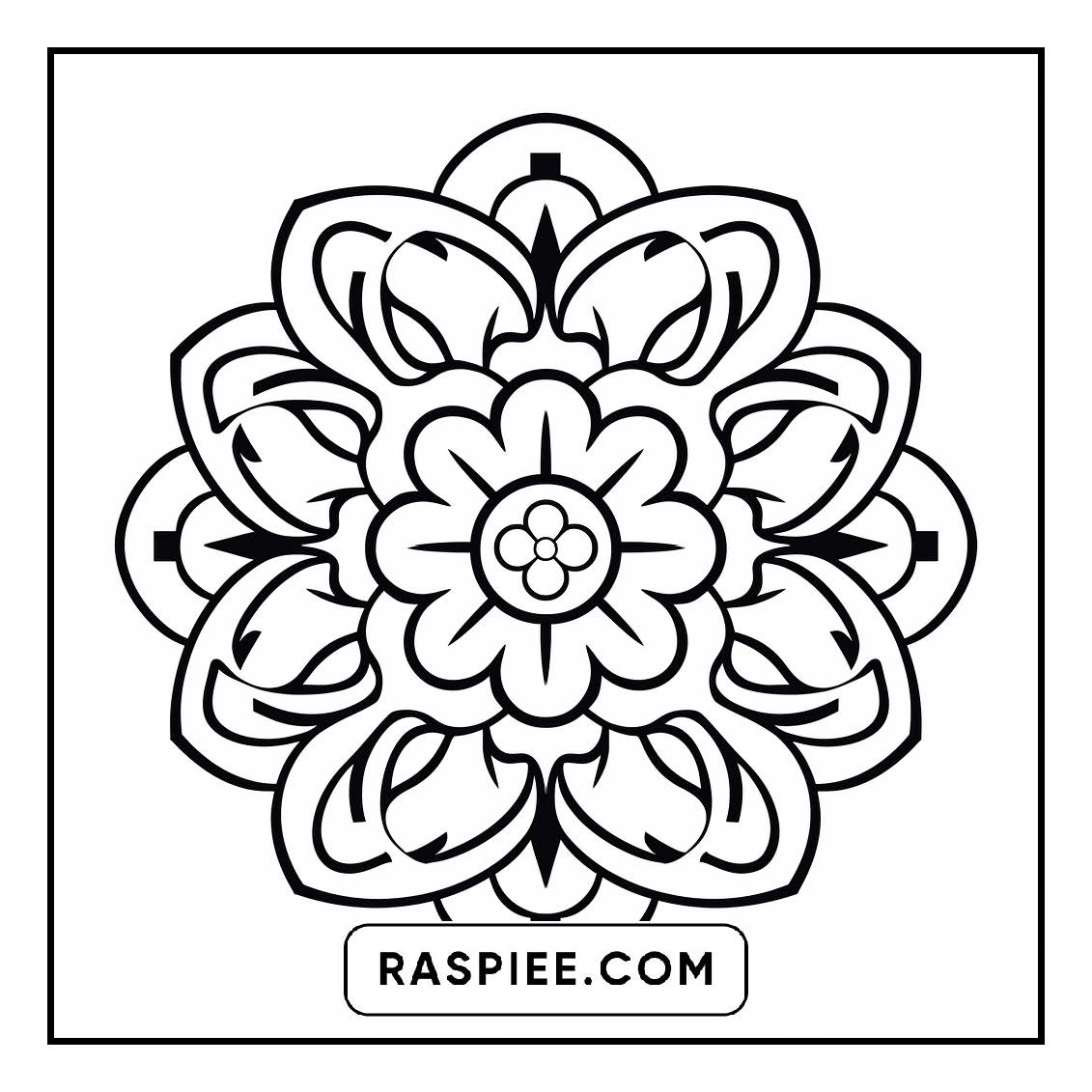 134 Bold and Easy Mandala Coloring Pages