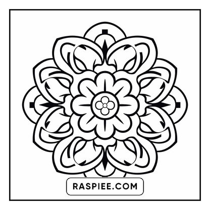 134 Bold and Easy Mandala Coloring Pages