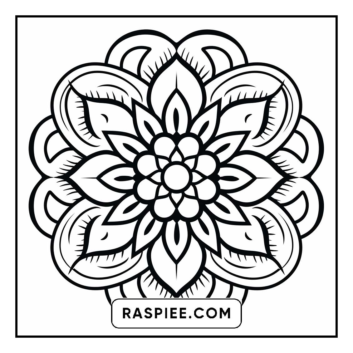 134 Bold and Easy Mandala Coloring Pages