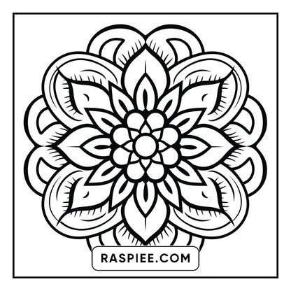 134 Bold and Easy Mandala Coloring Pages