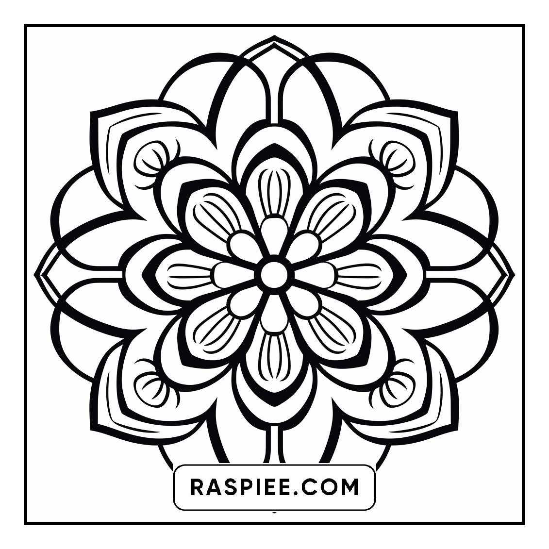 134 Bold and Easy Mandala Coloring Pages