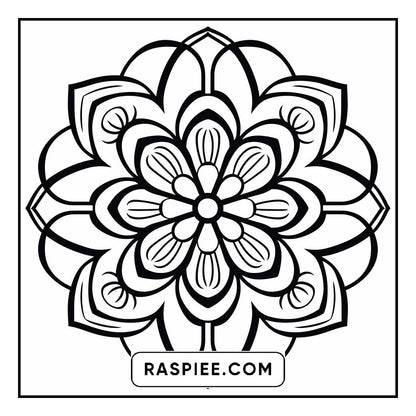 134 Bold and Easy Mandala Coloring Pages