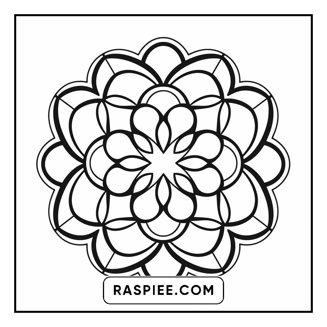 134 Bold and Easy Mandala Coloring Pages