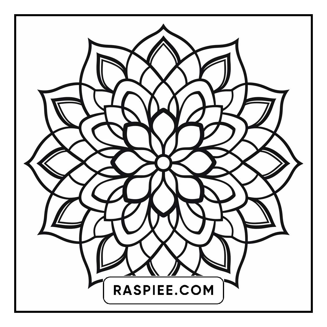 134 Bold and Easy Mandala Coloring Pages