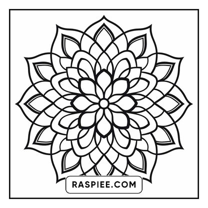 134 Bold and Easy Mandala Coloring Pages