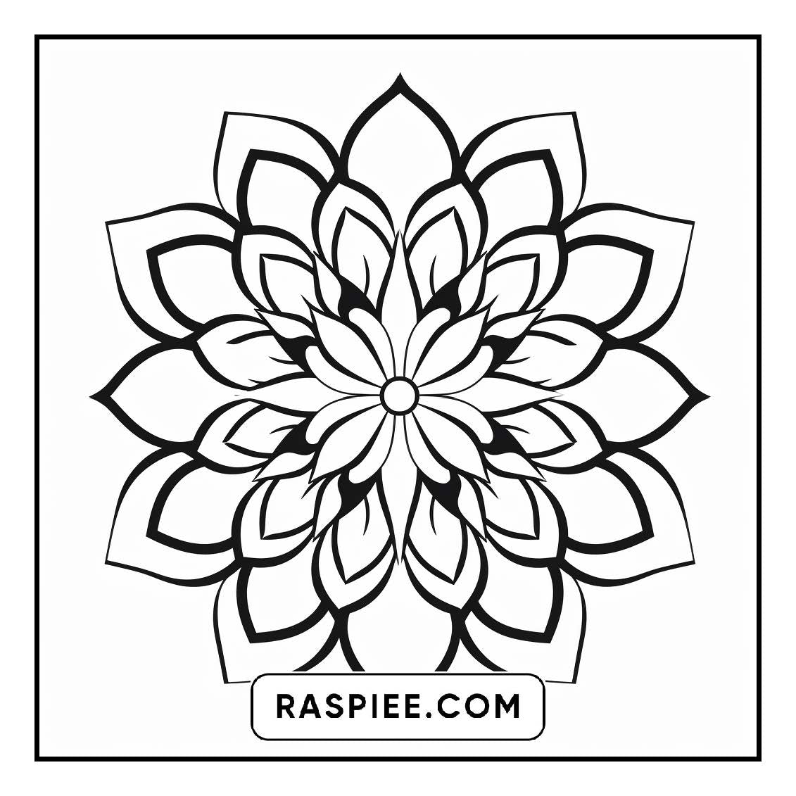 134 Bold and Easy Mandala Coloring Pages