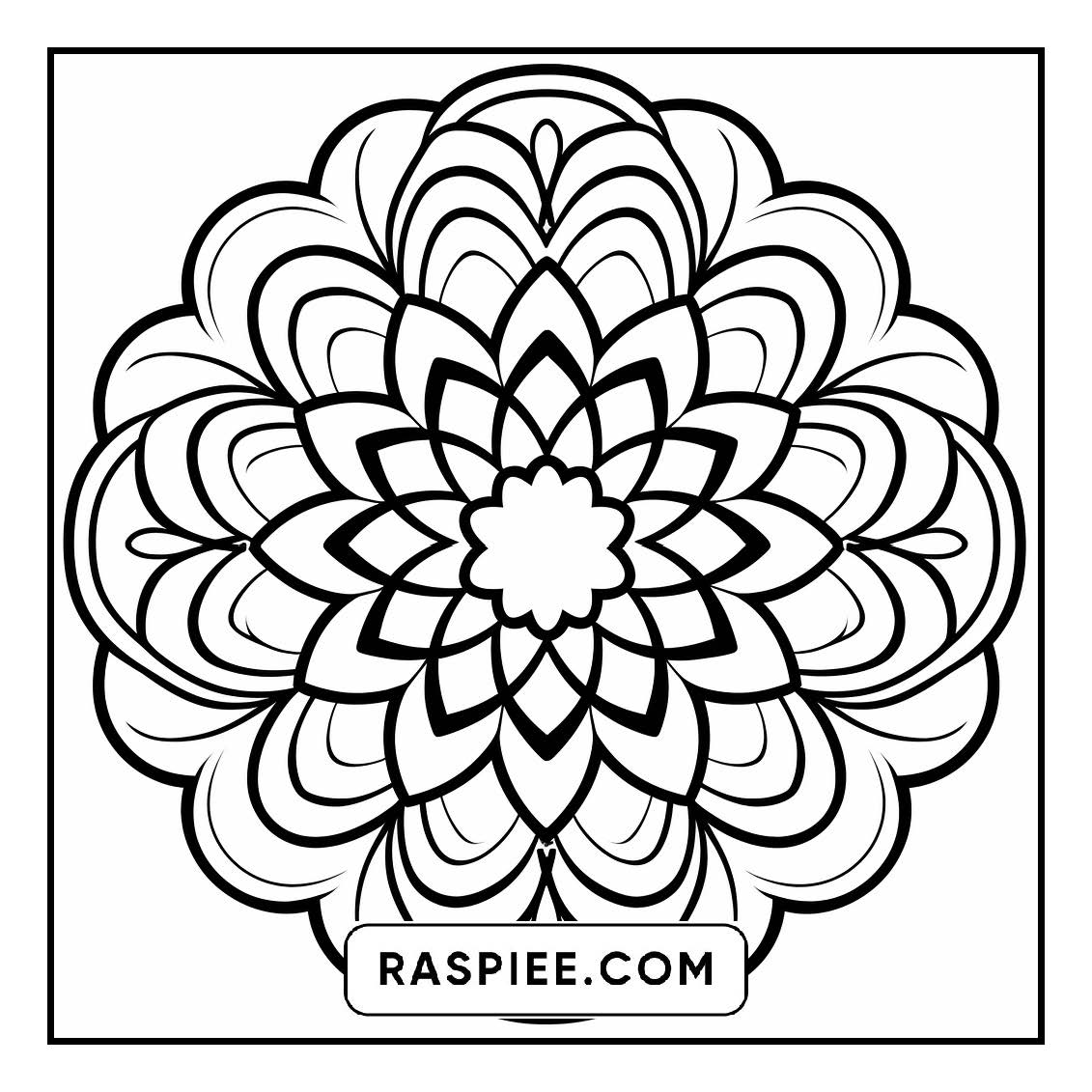 134 Bold and Easy Mandala Coloring Pages