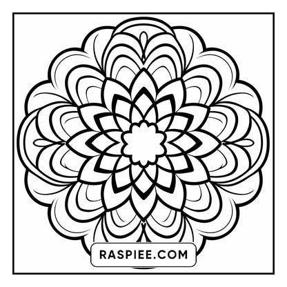 134 Bold and Easy Mandala Coloring Pages