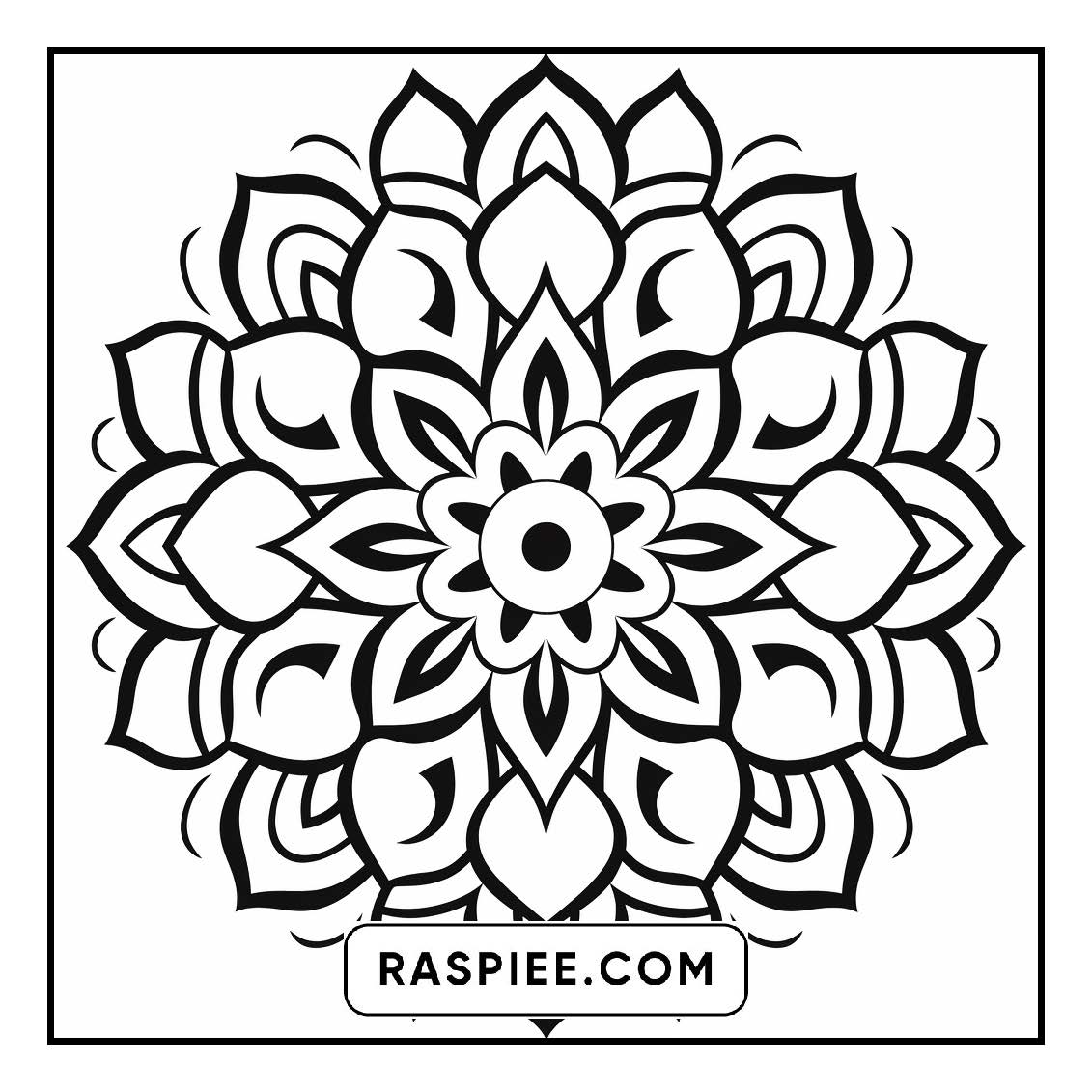 134 Bold and Easy Mandala Coloring Pages