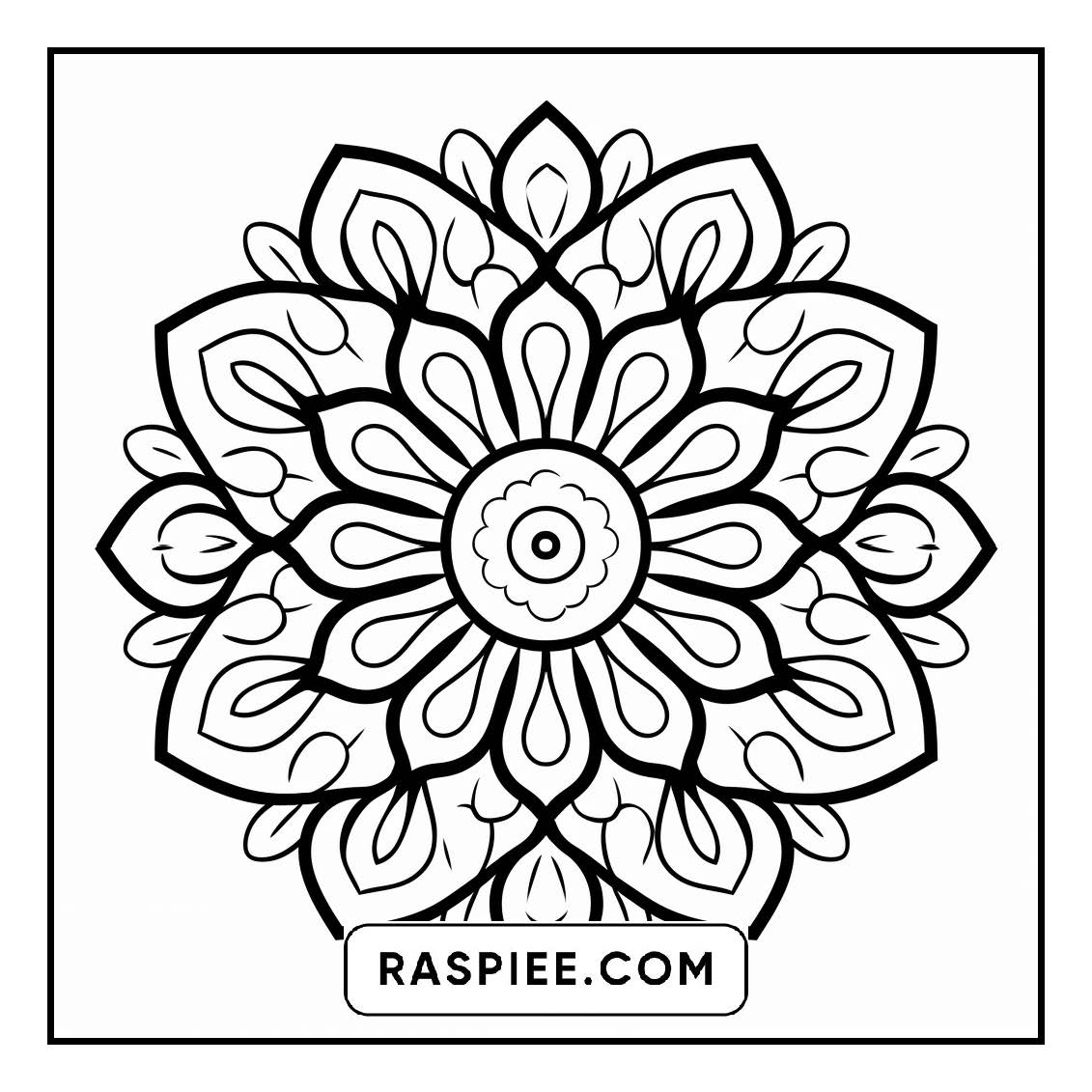 134 Bold and Easy Mandala Coloring Pages