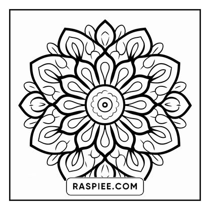 134 Bold and Easy Mandala Coloring Pages