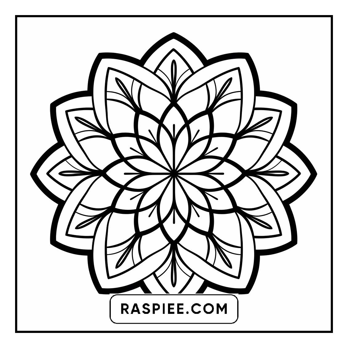 134 Bold and Easy Mandala Coloring Pages