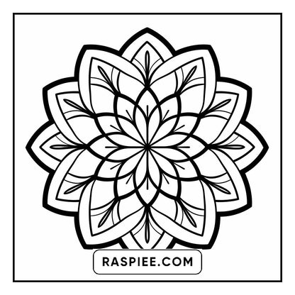 134 Bold and Easy Mandala Coloring Pages