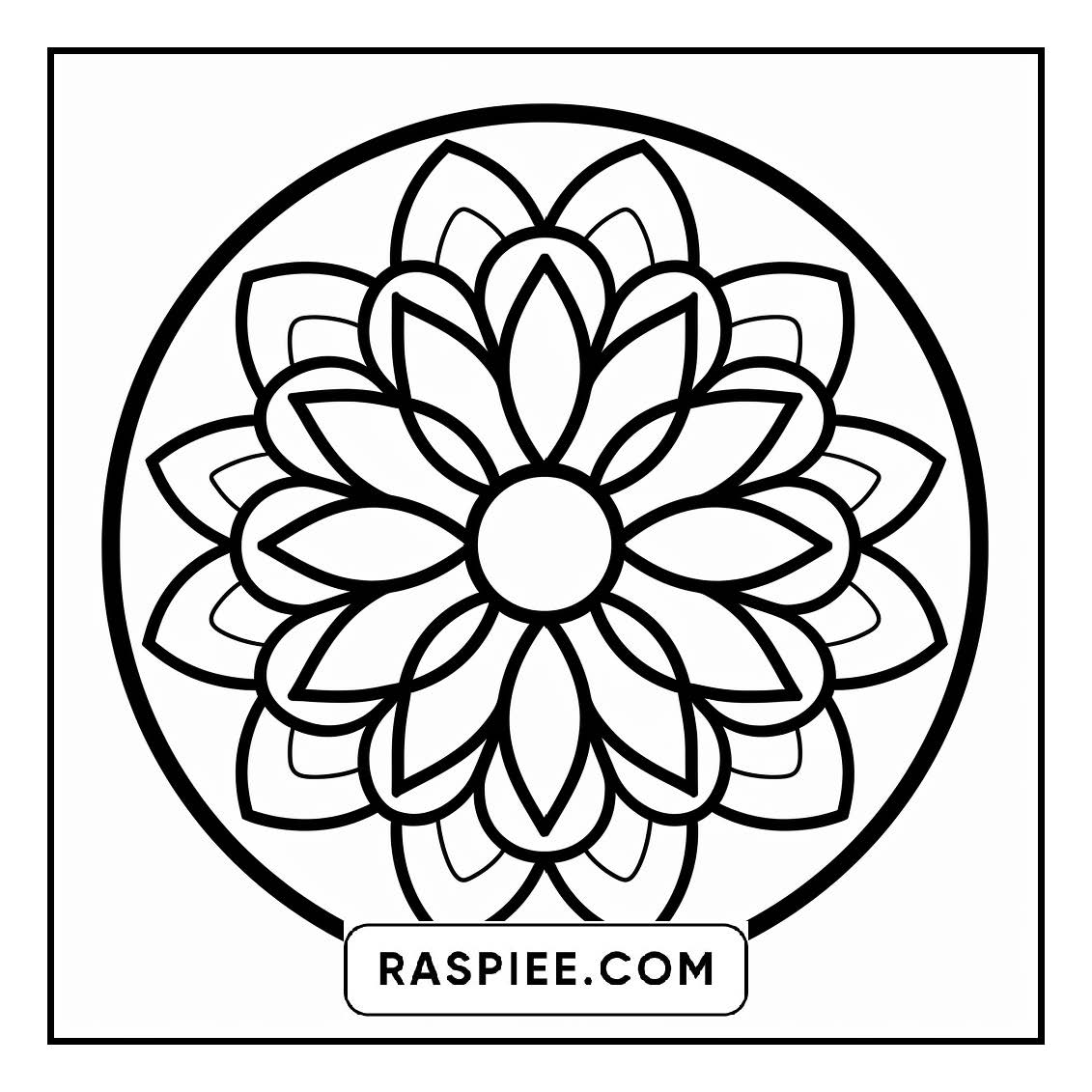 134 Bold and Easy Mandala Coloring Pages