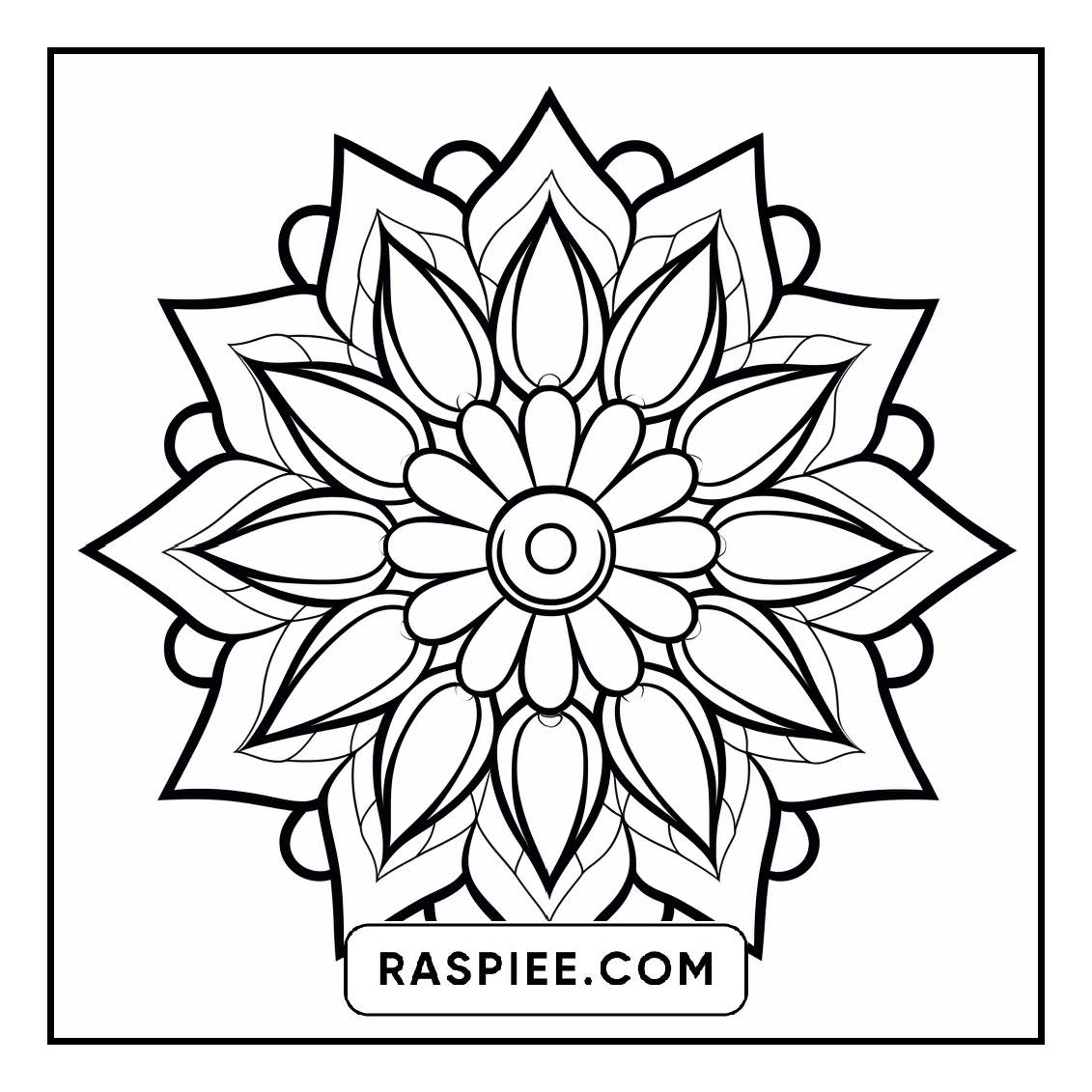 134 Bold and Easy Mandala Coloring Pages