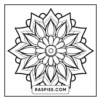 134 Bold and Easy Mandala Coloring Pages