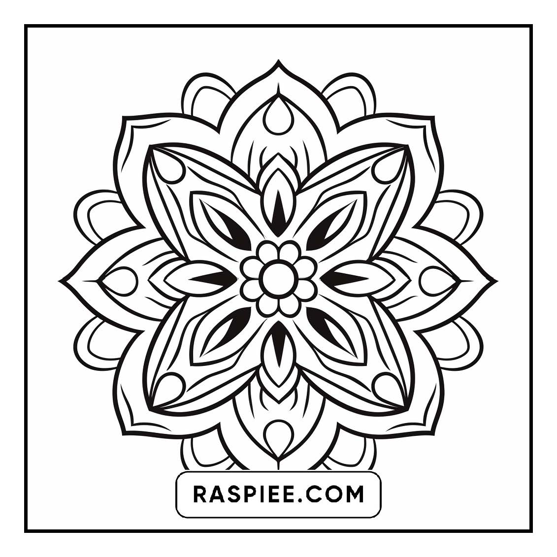 134 Bold and Easy Mandala Coloring Pages