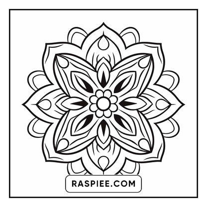 134 Bold and Easy Mandala Coloring Pages