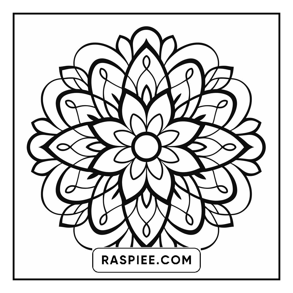 134 Bold and Easy Mandala Coloring Pages
