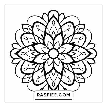 134 Bold and Easy Mandala Coloring Pages