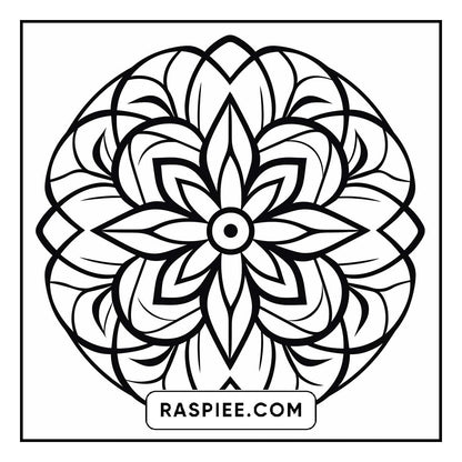134 Bold and Easy Mandala Coloring Pages