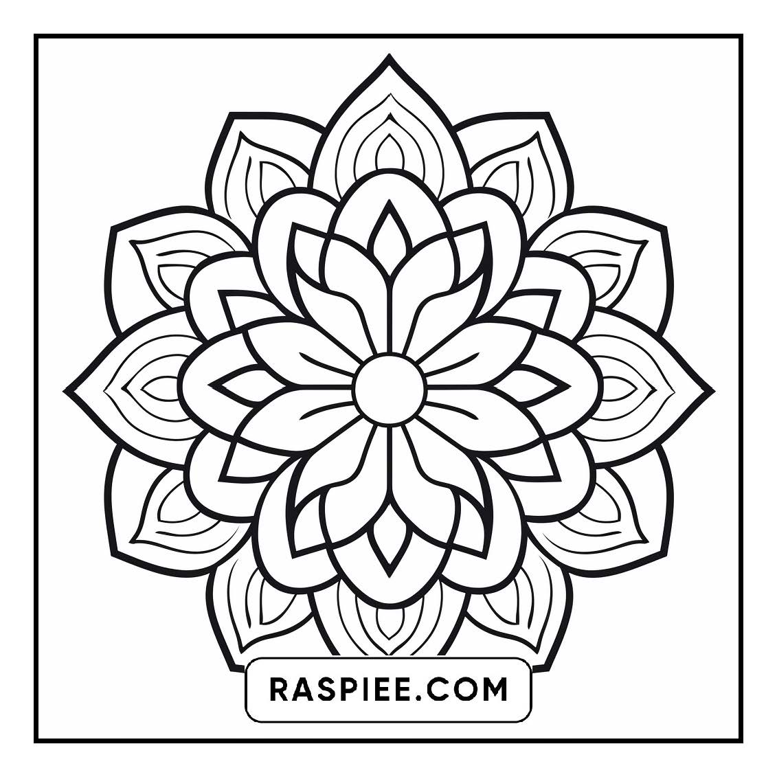 134 Bold and Easy Mandala Coloring Pages