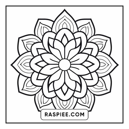 134 Bold and Easy Mandala Coloring Pages