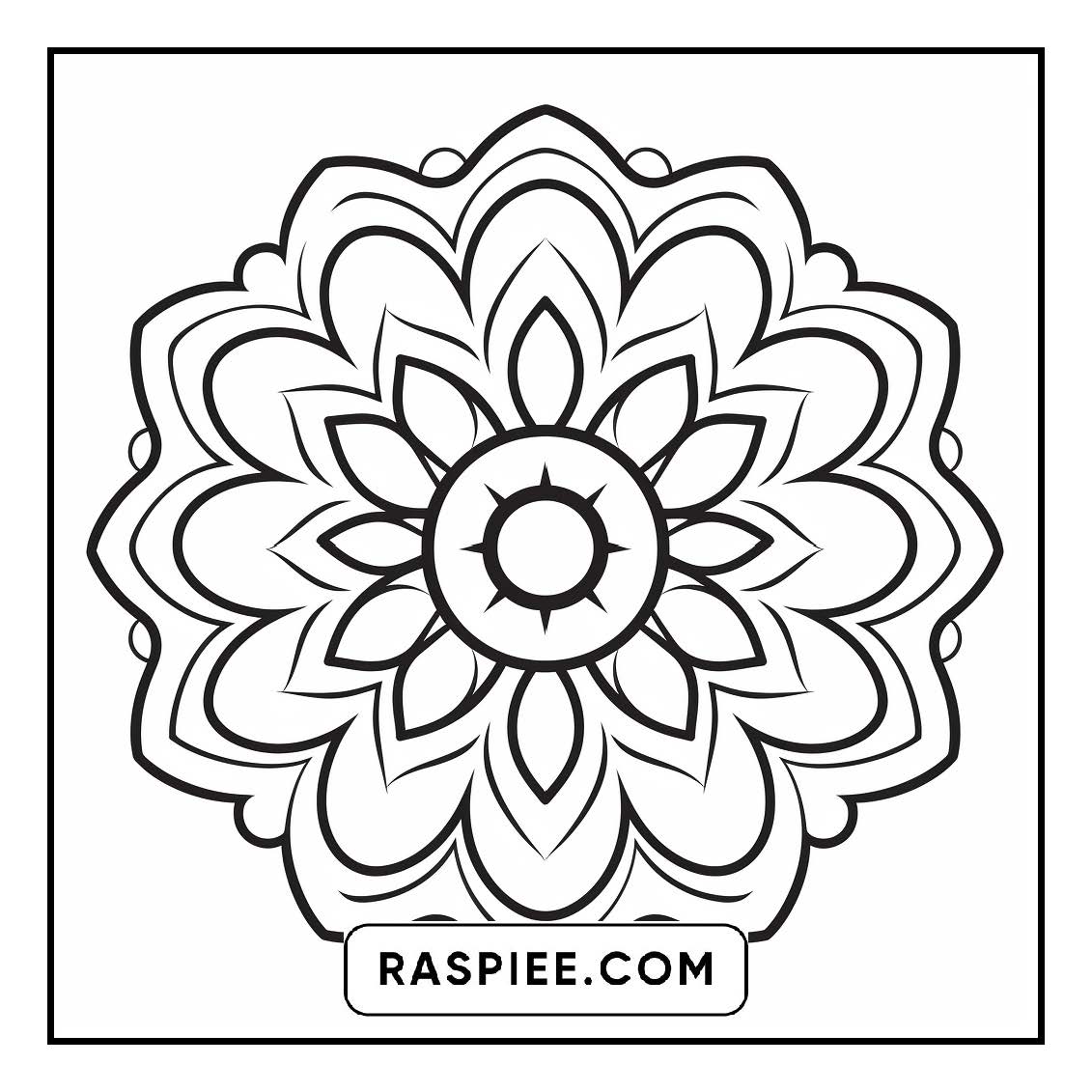 134 Bold and Easy Mandala Coloring Pages